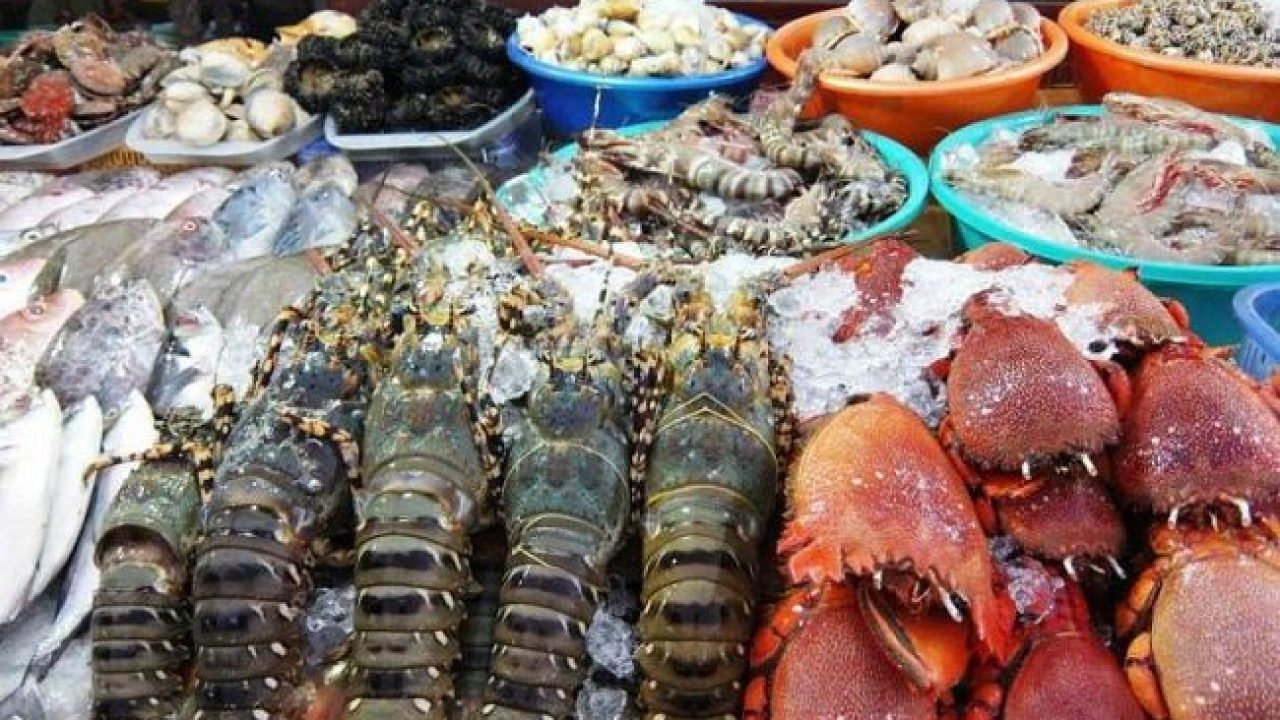 Vận Chuyển Hải Sản Đông Lạnh