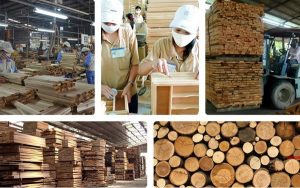 Năm 2022, xuất khẩu gỗ và lâm sản đạt 16,928 tỷ USD