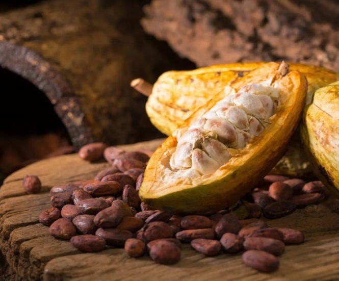 VẬN CHUYỂN BỘT CACAO ĐI THÁI LAN 2025