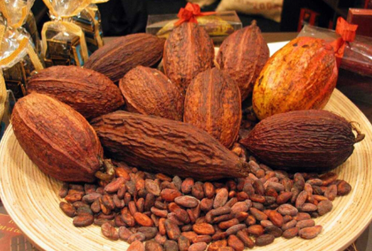 VẬN CHUYỂN BỘT CACAO ĐI THÁI LAN 2025