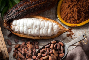 VẬN CHUYỂN BỘT CACAO ĐI THÁI LAN 2025