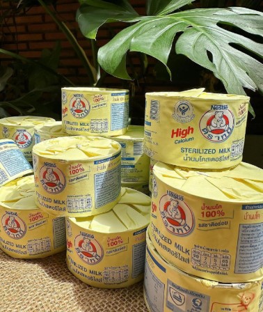 MUA HỘ SỮA GẤU NESTLE THÁI GIÁ RẺ 2025