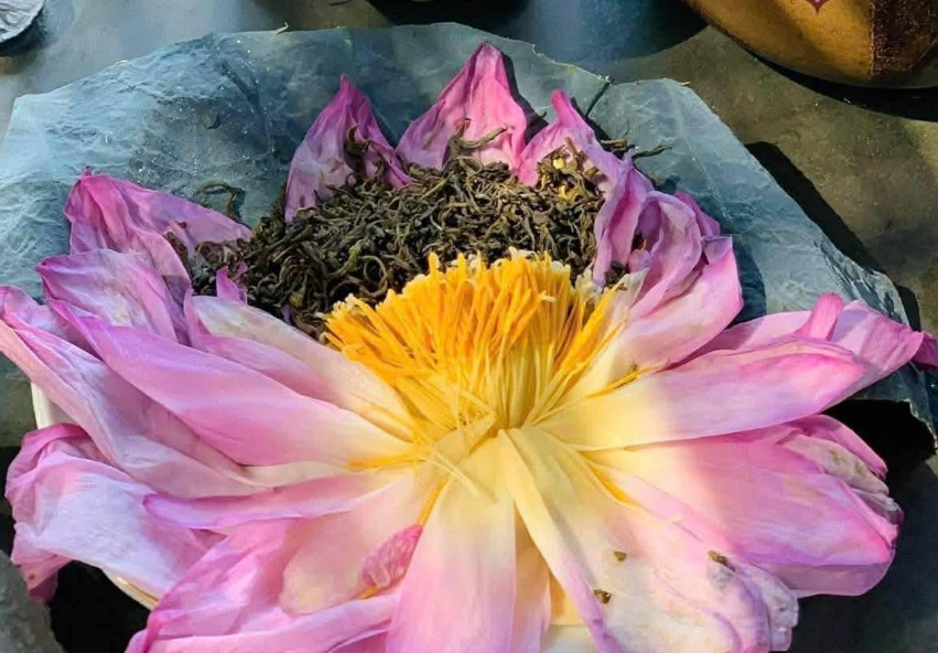 GỬI TRÀ SEN TÂY HỒ ĐI THÁI LAN AN TOÀN 2025