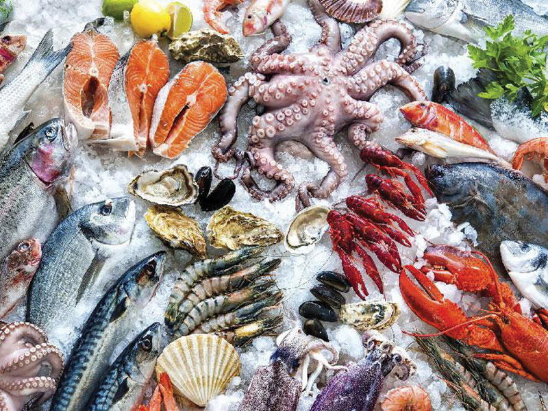 Vận Chuyển Hải Sản Đông Lạnh