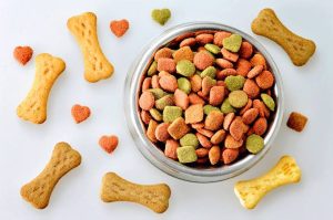 Vận Chuyển Thức Ăn Thú Cưng